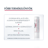 Eucerin pH5 Lip Aktív ajakápoló