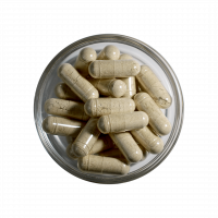 LXR Echinacea Komplex kapszula