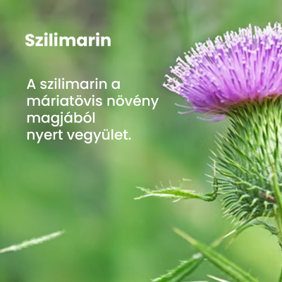 Lagosa Triplex® kapszula